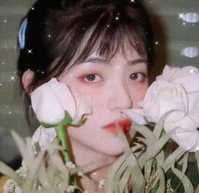 真假东宫粤语