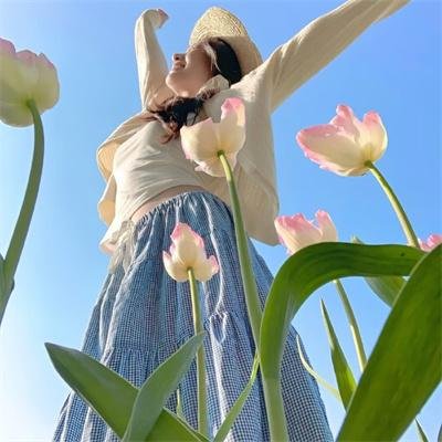 三宝闹深圳