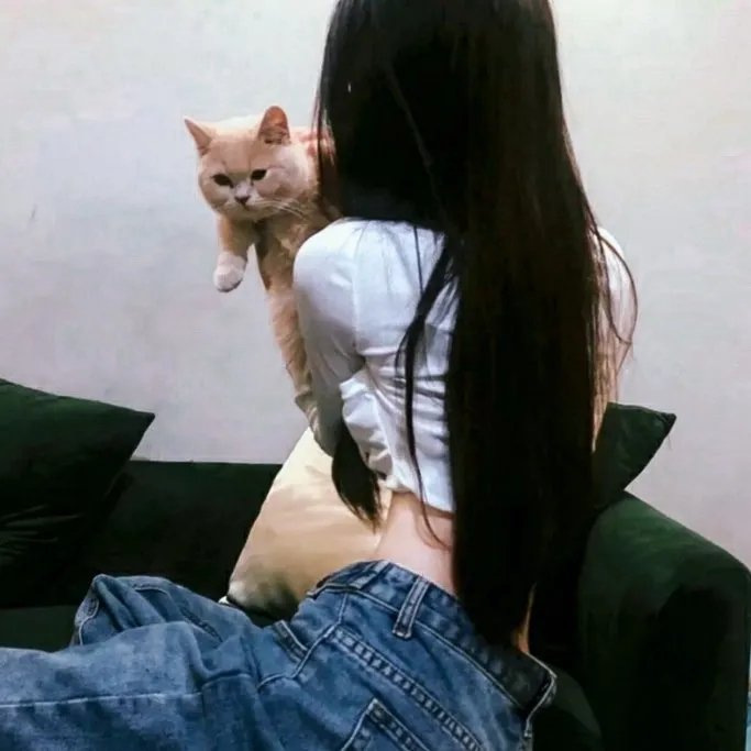 三颗星彩色冒险