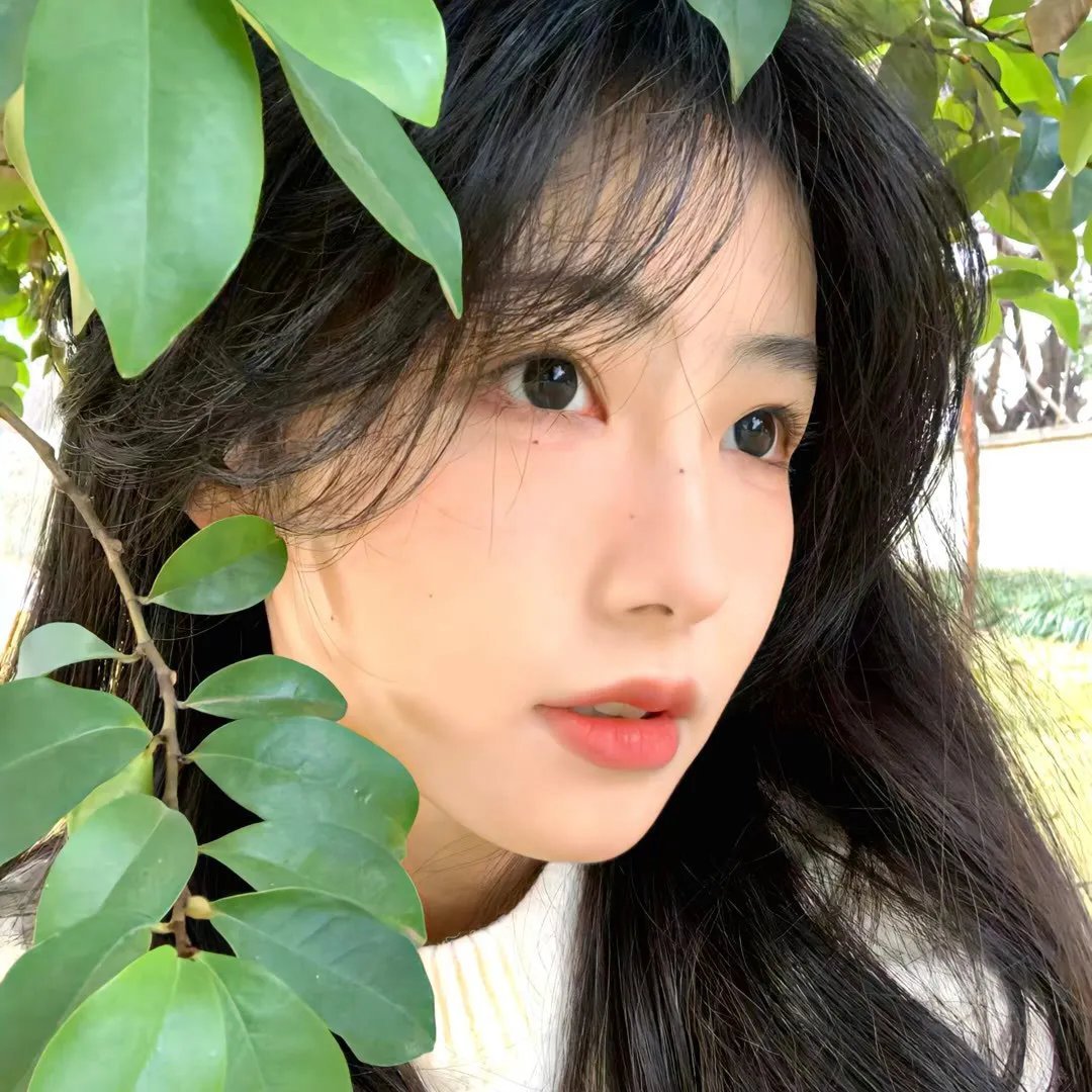 一个人的生命
